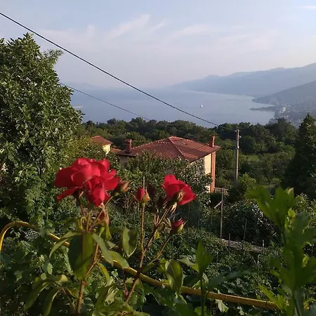 Panorama *
